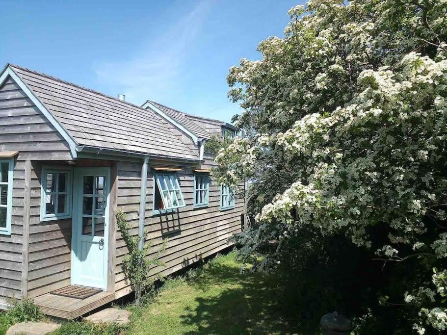 Villa Tiny House On Isolated Farm By The Cornish Coast Bude Exterior foto